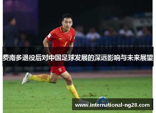 费南多退役后对中国足球发展的深远影响与未来展望
